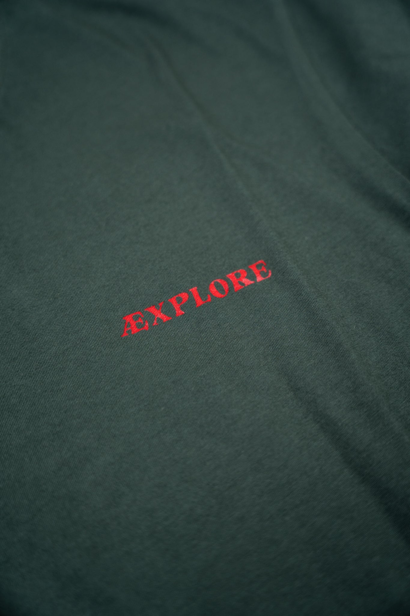 Bear Burrito T-shirt (Green Gables)