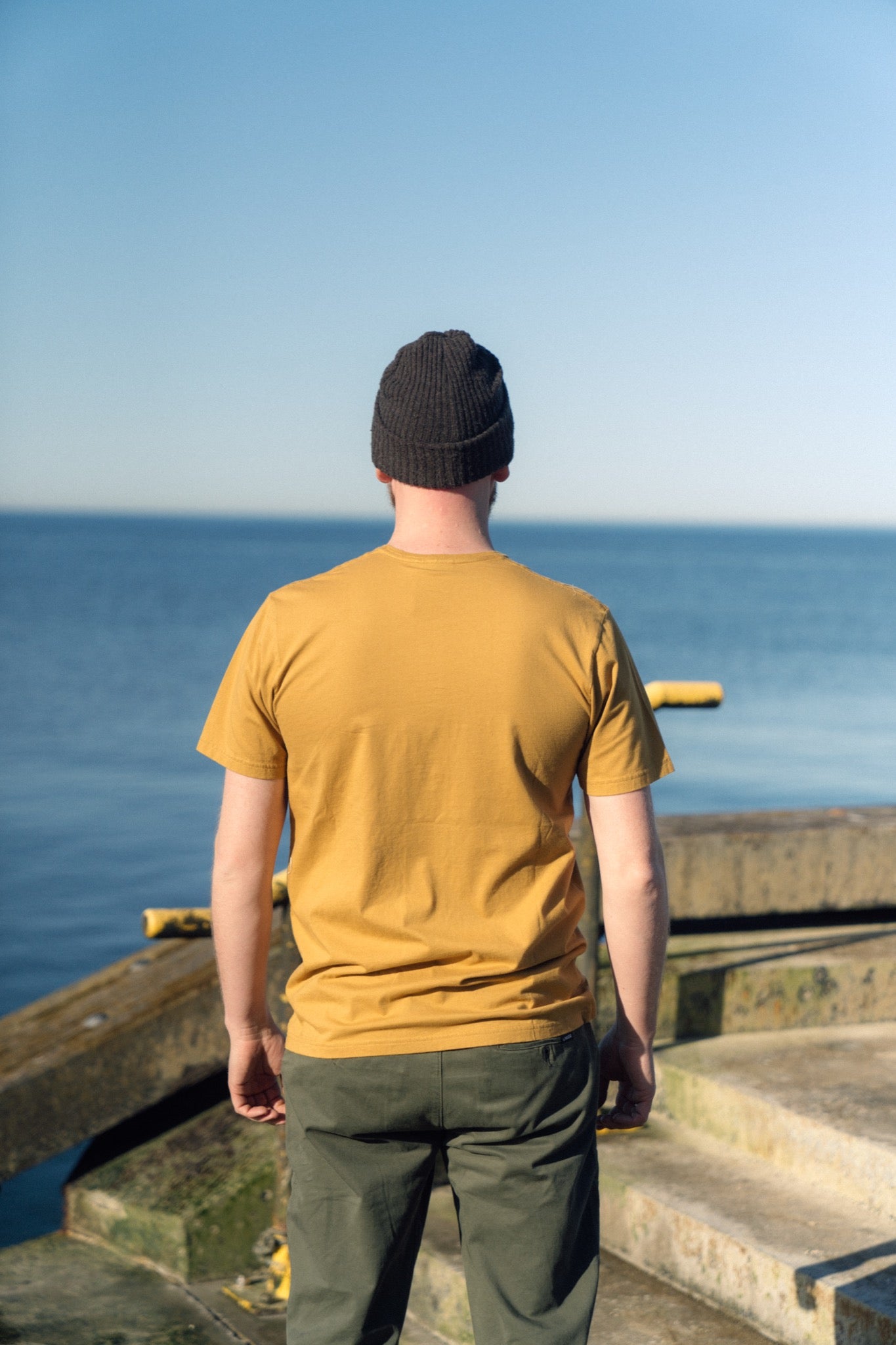 Mini Flying Puffin T-shirt (Wood Thrush)