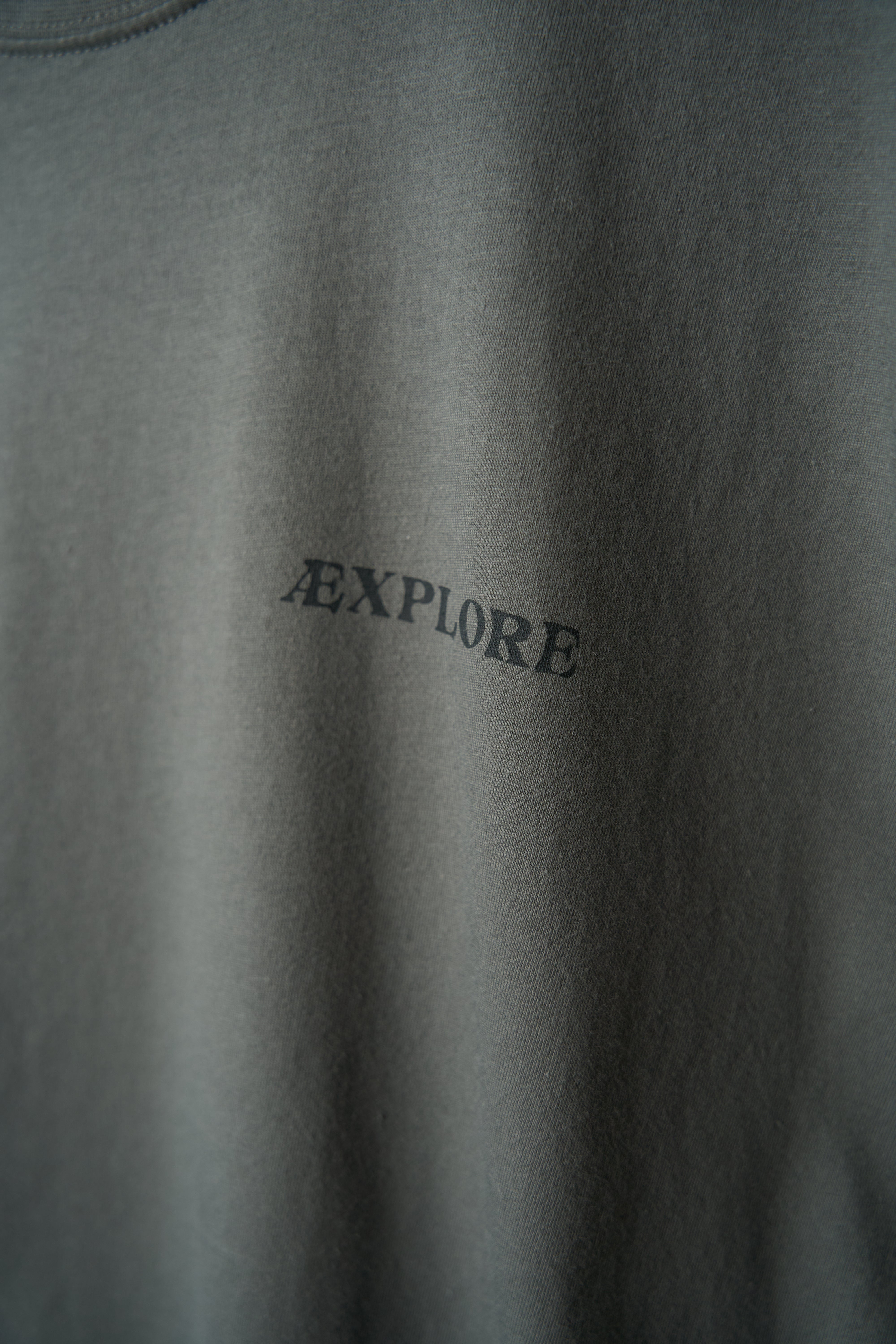 Wandering Moose T-shirt (Urban Chic)